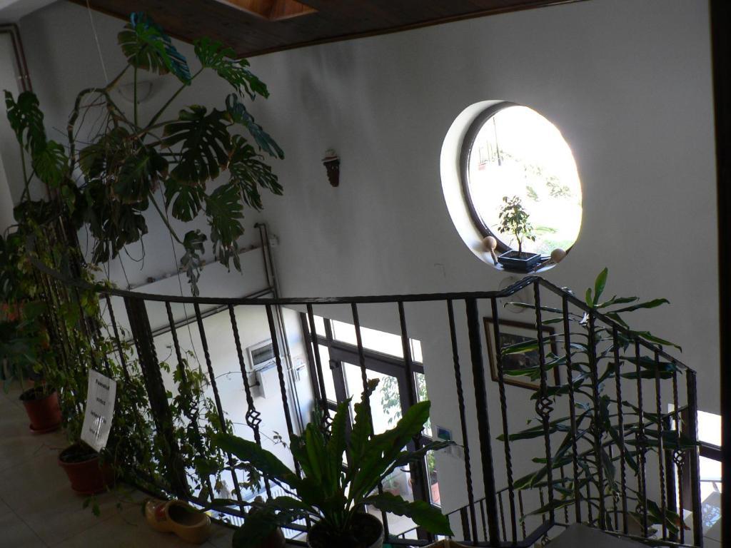 Casa Havana (Adults Only) Costinesti Exterior photo